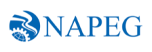 Northwest Territories and Nunavut Association of Professional Engineers and Geoscientists (NAPEG) logo