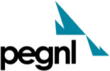 Professional Engineers and Geoscientists of Newfoundland and Labrador (PEGNL) logo