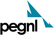 Professional Engineers and Geoscientists of Newfoundland and Labrador (PEGNL) logo